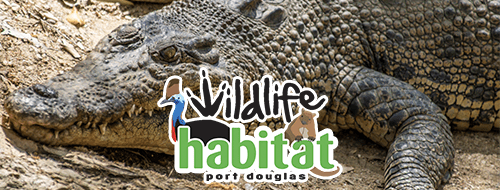 Wildlife Habitat Port Douglas Button