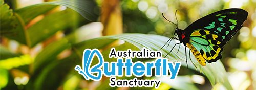 Australian Butterfly SanctuaryButton